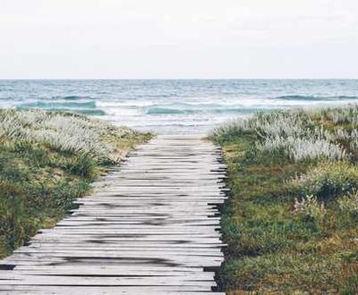 discover-the-magic-of-goa